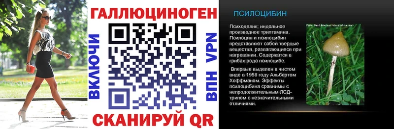 KRAKEN ССЫЛКА  купить наркотики сайты  Николаевск  Псилоцибиновые грибы мухоморы 